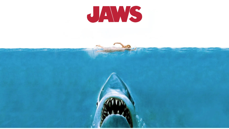More Info for JAWS 