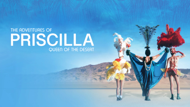 More Info for The Adventures of Priscilla, Queen of the Desert 